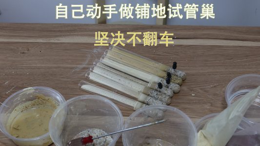 自己动手做铺地竹节试管巢，带具支的，比买的好用